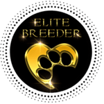 rickjenn-frenchies-elite-breeder