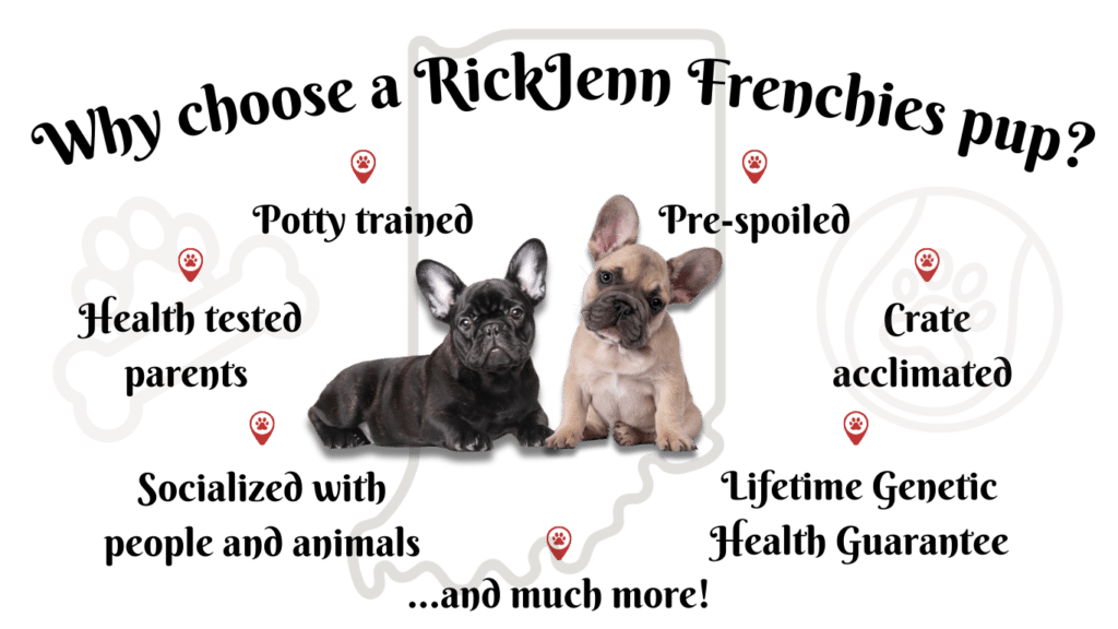 welcome-to-rickjenn-frenchies