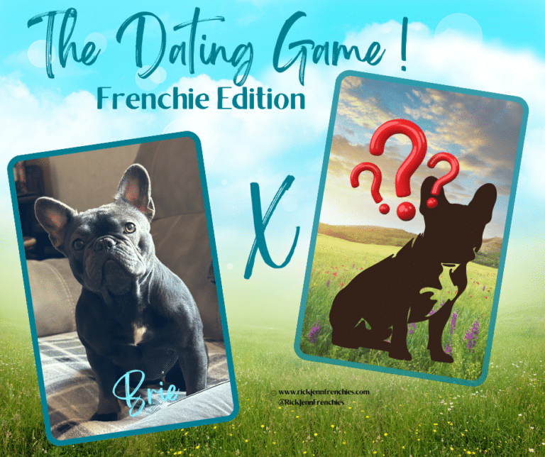 french-bulldog-puppies-for-sale